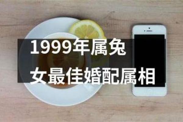 属兔人最佳配偶生肖推荐