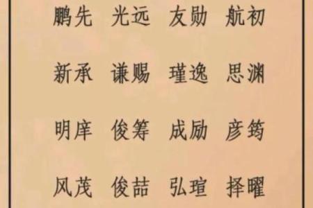 轻松为宝宝取名，利用宝宝起名字网站的智慧