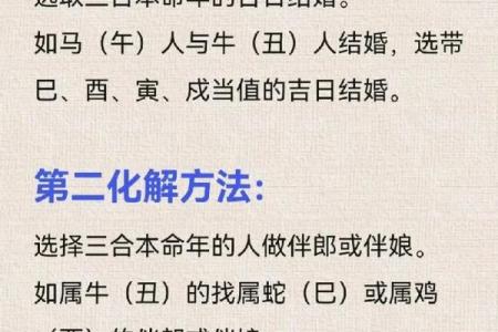 年命解析：了解每个人与年份的独特关系