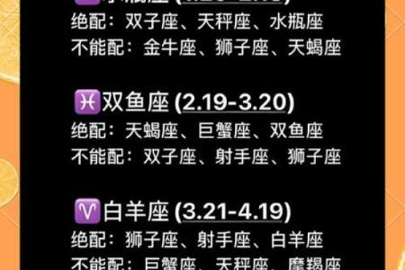 探索十二星座最理想的配对关系