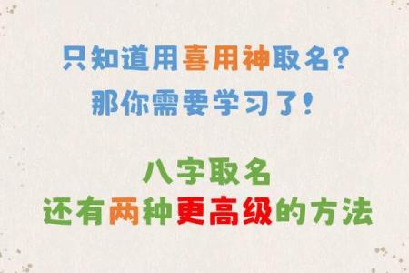 伊人名字与个性命理的巧妙结合