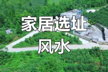属相与居住环境：选择适合自己生肖的家居风水