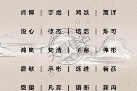鸡年男宝宝名字大全：寓意聪明和幸运的名字推荐