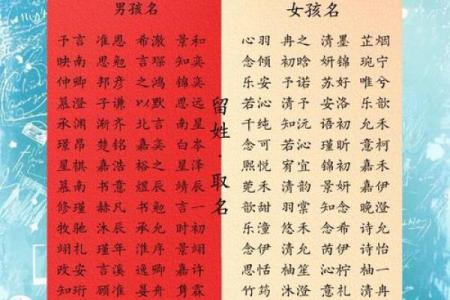 在线宝宝起名平台，助力父母轻松挑选好名字