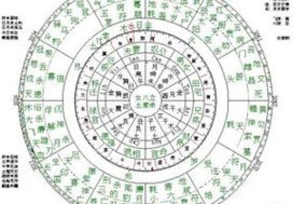 胎命身的定义与解读:从命理角度解析人生起点 胎命身的定义与解读:从命理角度解析人生起点