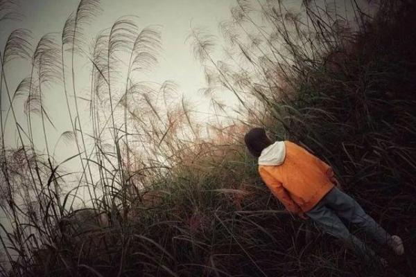 雨桐的名字故事：融合自然与诗意的象征