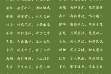 宝宝起名字库：为您的宝宝挑选独特而有意义的名字秘籍