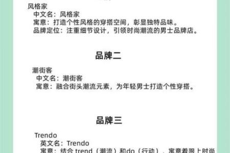 选择专业起名公司，开启您的品牌成功之路