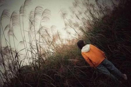 雨桐的名字故事：融合自然与诗意的象征