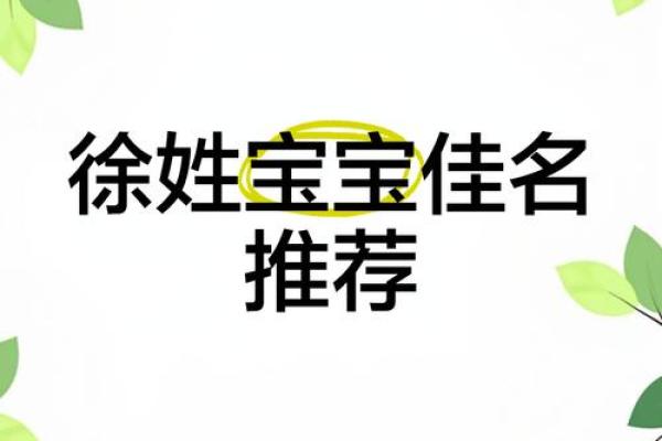 姓徐宝宝名字推荐:兼顾传统与现代的命名法 姓徐宝宝名字推荐:兼顾传统与现代的命名法
