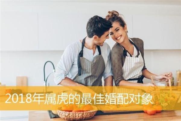 属虎的人与哪些生肖最为合适，注定有缘