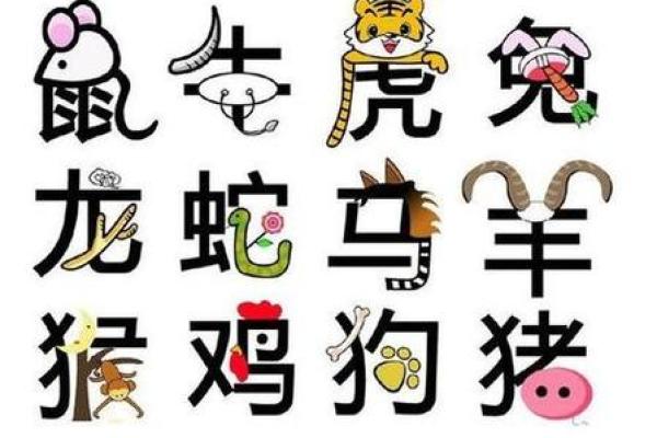 天生丽质与哪个生肖最为契合？