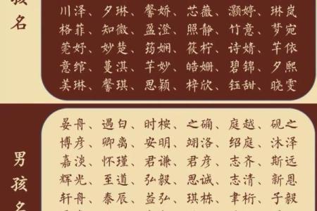 姓徐宝宝名字推荐：兼顾传统与现代的命名法