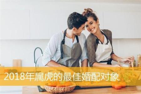 属虎的人与哪些生肖最为合适，注定有缘