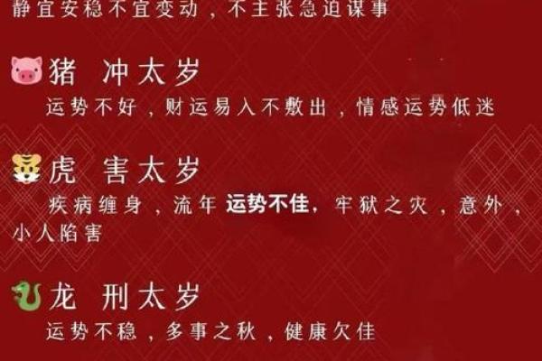生肖是什么？详细了解这一年的属相