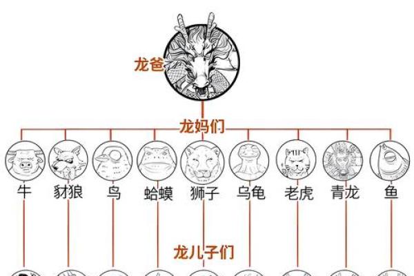 属龙人与其他生肖的配对指数对比