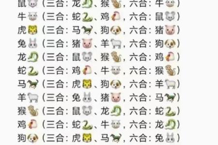 对应的生肖是什么 了解生肖解析