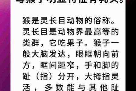 猴鸡相配解析：这对组合的性格与婚姻匹配度如何