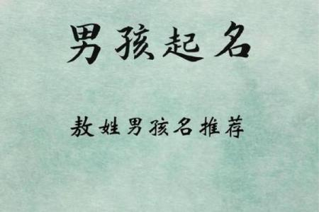 虎宝宝名字大全：为宝宝赋予勇气与智慧的名字