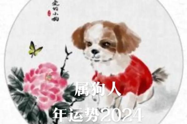 属狗年运势全景解析:稳步前行的年度指南 属狗年运势全景解析:稳步前行的年度指南