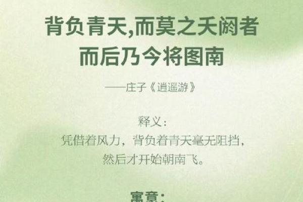 于芹：名字背后的故事与象征意义