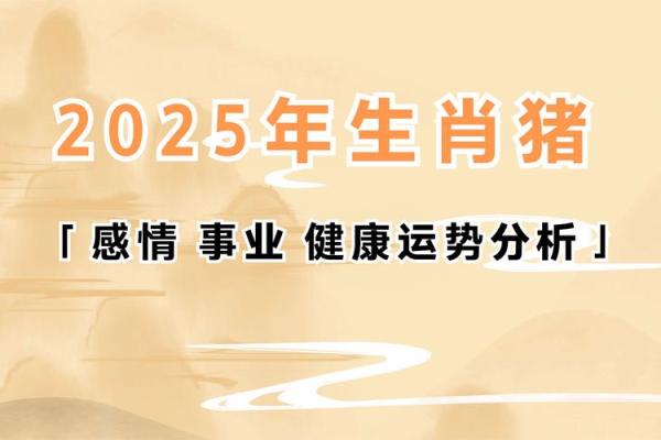 猪年运势走势:如何抓住机会迎接新挑战 猪年运势走势:如何抓住机会迎接新挑战