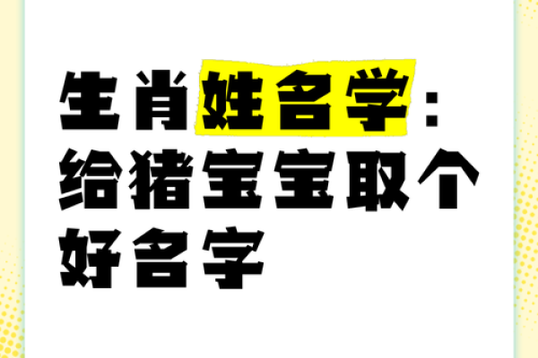 猪年出生的宝宝起名建议:避开这些误区 猪年出生的宝宝起名建议:避开这些误区