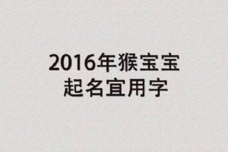 猴宝宝起名免费指南，精选名字推荐