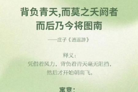 于芹：名字背后的故事与象征意义