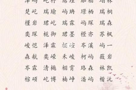 赋予女孩智慧与力量的带硕字名字