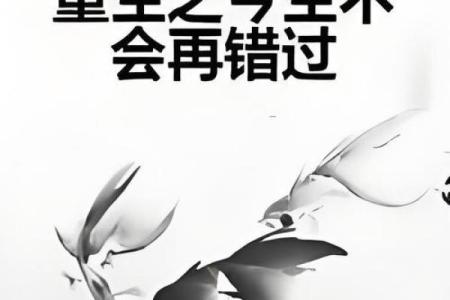 生命中的错过，是否注定无法重逢