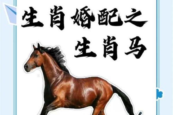 马属相的人缘分和婚姻配对建议
