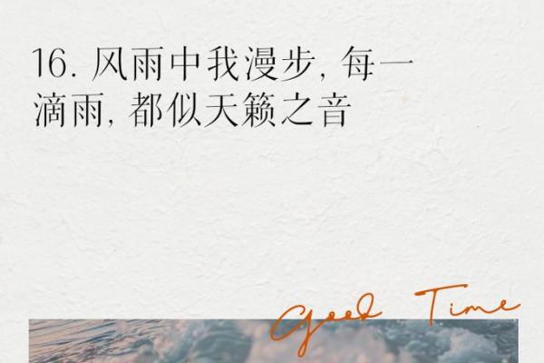 温润和风：在轻风中品味生活的诗意