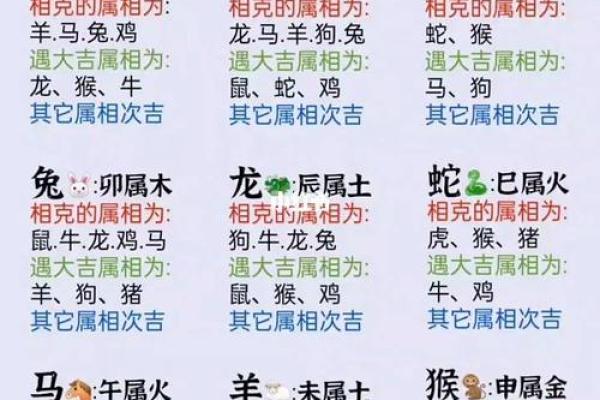 猴与十二生肖配对的最佳运势揭秘