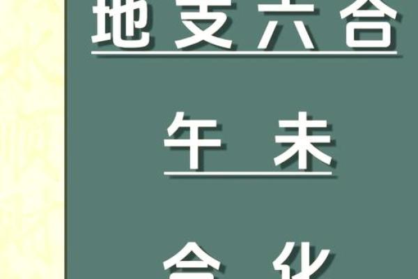 如何理解丑午婚配的性格和命运契合
