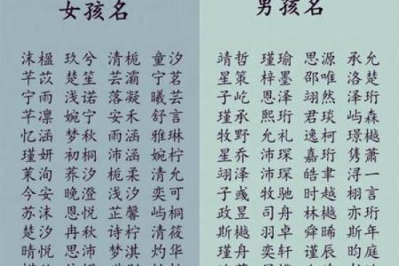 为羊男宝宝挑选一个既吉利又有特色的名字