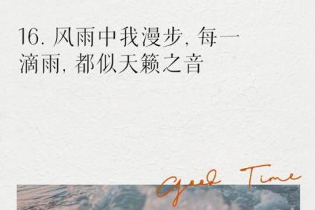 温润和风：在轻风中品味生活的诗意