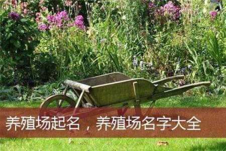 创意农场公司名称推荐与起名技巧