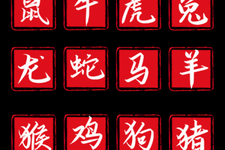生肖鸡与蛇的关系：成功婚配的秘诀与陷阱