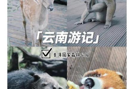 探索动物命名法：为公司打造个性化品牌名称