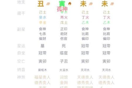 岁命的含义及其在命理学中的重要性解析