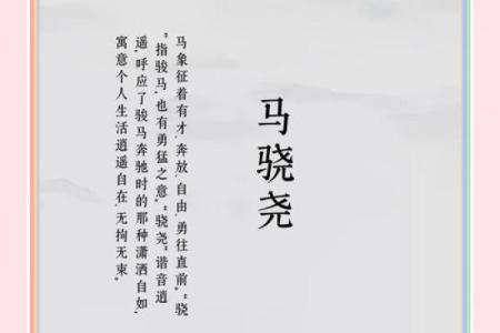 为马宝宝挑选名字的创意指南