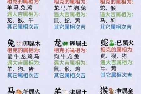 猴与十二生肖配对的最佳运势揭秘