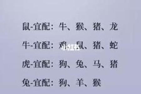 如何理解丑午婚配的性格和命运契合