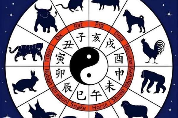 鸡与羊的相配是否合适？揭开命理中的深层次关系