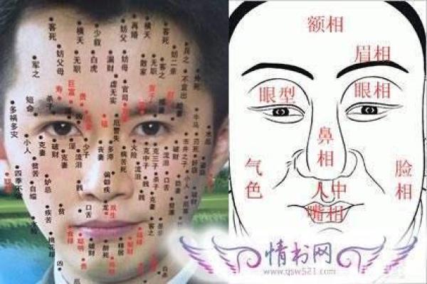 甲申日柱组合对命运的影响