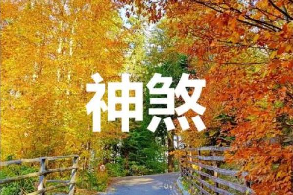 双甲命解析:命理中的力量与挑战 双甲命解析:命理中的力量与挑战