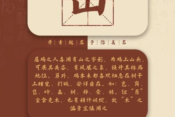 如何为你的鸡宝宝取一个既可爱又有意义的名字 如何为你的鸡宝宝取一个既可爱又有意义的名字