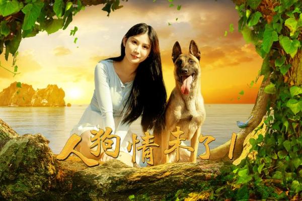 人与狗的友谊：这段关系真的是相互匹配的吗？