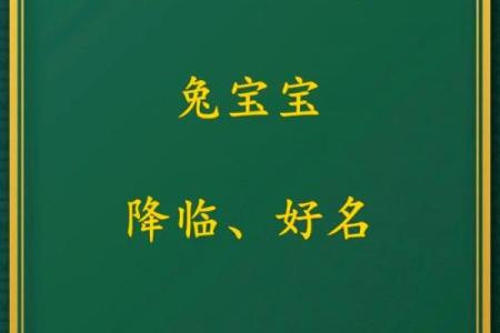 如何在线为宝宝挑选独一无二的名字
